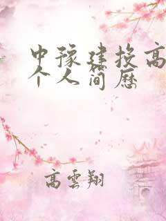 中豫建投高山林个人简历