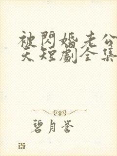 被闪婚老公宠上天短剧全集免费观看