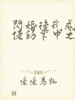 闪婚后我成了大佬的掌中之物哪里免费