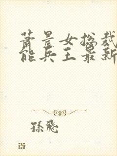 萧晨女总裁的全能兵王最新章节