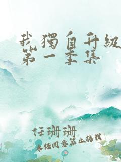 我独自升级动漫第一季集