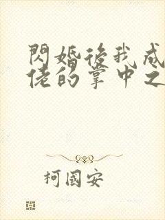 闪婚后我成了大佬的掌中之物.