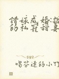 错嫁成婚:总裁的私宠甜妻 短剧