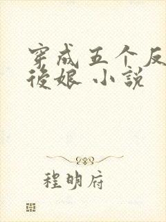 穿成五个反派的后娘 小说