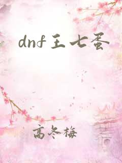 dnf王七蛋