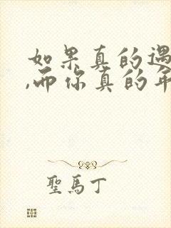 如果真的遇见你,而你真的年轻,歌名