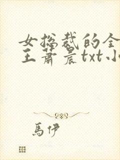 女总裁的全能兵王萧晨txt小说下载