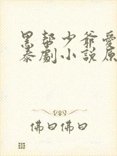 黑帮少爷爱上我泰剧小说原著全文免费阅读