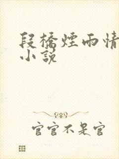 段桥烟雨情难离小说