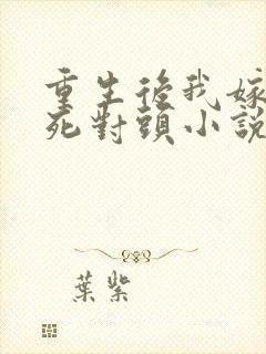 重生后我嫁给了死对头小说版