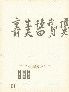 重生后我顶替了前夫白月光大概剧情