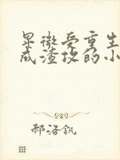 卑微受重生后变成渣攻的小说