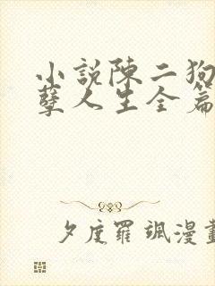 小说陈二狗的妖孽人生全篇