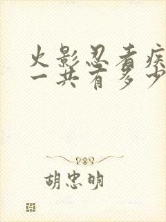 火影忍者疾风传一共有多少集