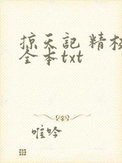 掠天记 精校版全本txt