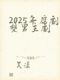 2025年腐剧双男主剧