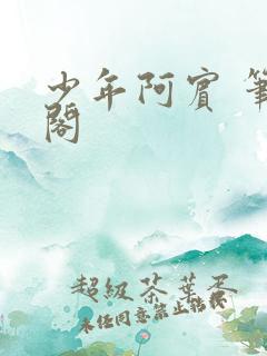 少年阿宾 笔趣阁