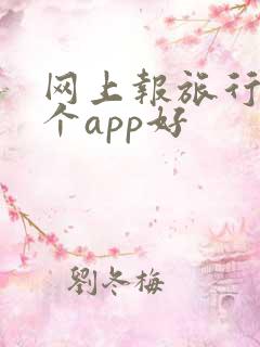 网上报旅行团哪个app好