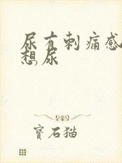 尿有刺痛感一直想尿