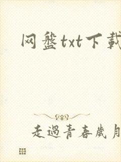 网盘txt下载