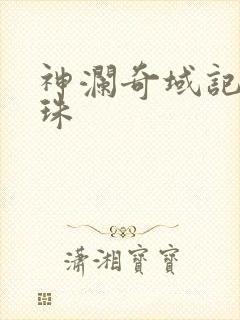 神澜奇域记无双珠