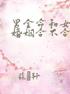 男金命和女土命婚姻合不合