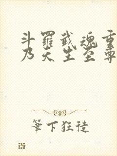 斗罗武魂重瞳吾乃天生至尊