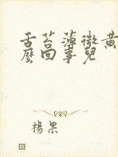 舌苔薄微黄是怎么回事儿