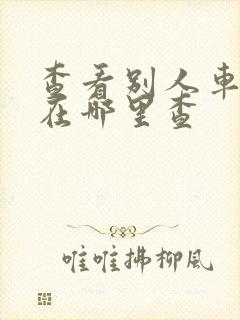 查看别人车违章在哪里查