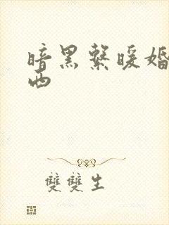 暗黑系暖婚顾南西