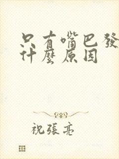 只有嘴巴发苦是什么原因