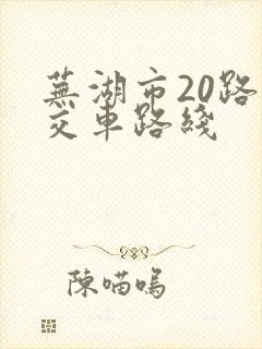 芜湖市20路公交车路线