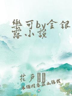 乐可by金银花露小说