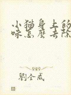 小猫身上的尿骚味怎么去除