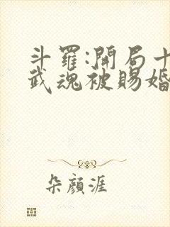 斗罗:开局十生武魂被赐婚千仞雪