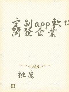 定制app软件开发企业