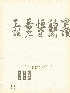 王岳恒的穿越小说免费阅读