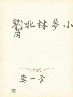 刘北林梦小说主角