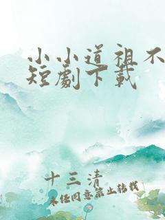 小小道祖不好惹短剧下载