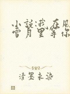 小说:我在风花雪月里等你