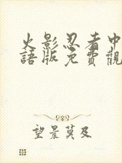 火影忍者中文国语版免费观看