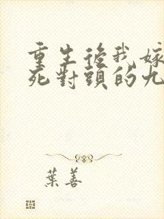 重生后我嫁给了死对头的九叔