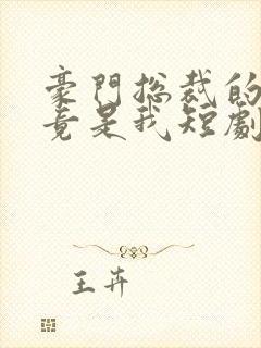 豪门总裁的老婆竟是我短剧