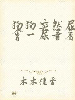 狗狗突然尿频一会一尿看着有点焦虑