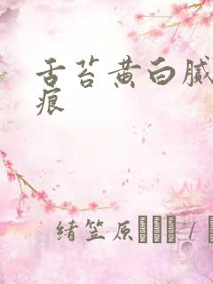 舌苔黄白腻有齿痕