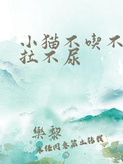 小猫不吃不喝不拉不尿