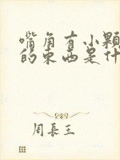 嘴角有小颗粒状的东西是什么