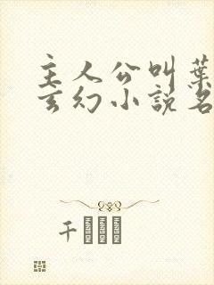 主人公叫叶观的玄幻小说名字