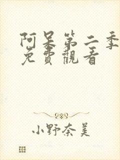 阿呆第二季动漫免费观看