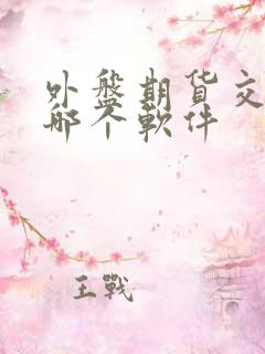 外盘期货交易用哪个软件